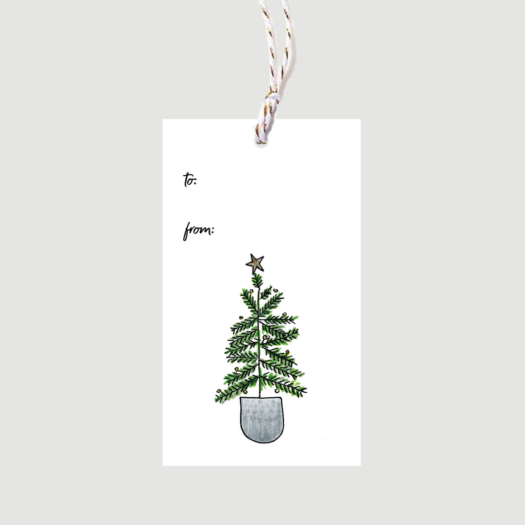 Adorable potted Christmas tree will add to any wrapped present, baked goods or bottle of wine - with festive ties and space for 