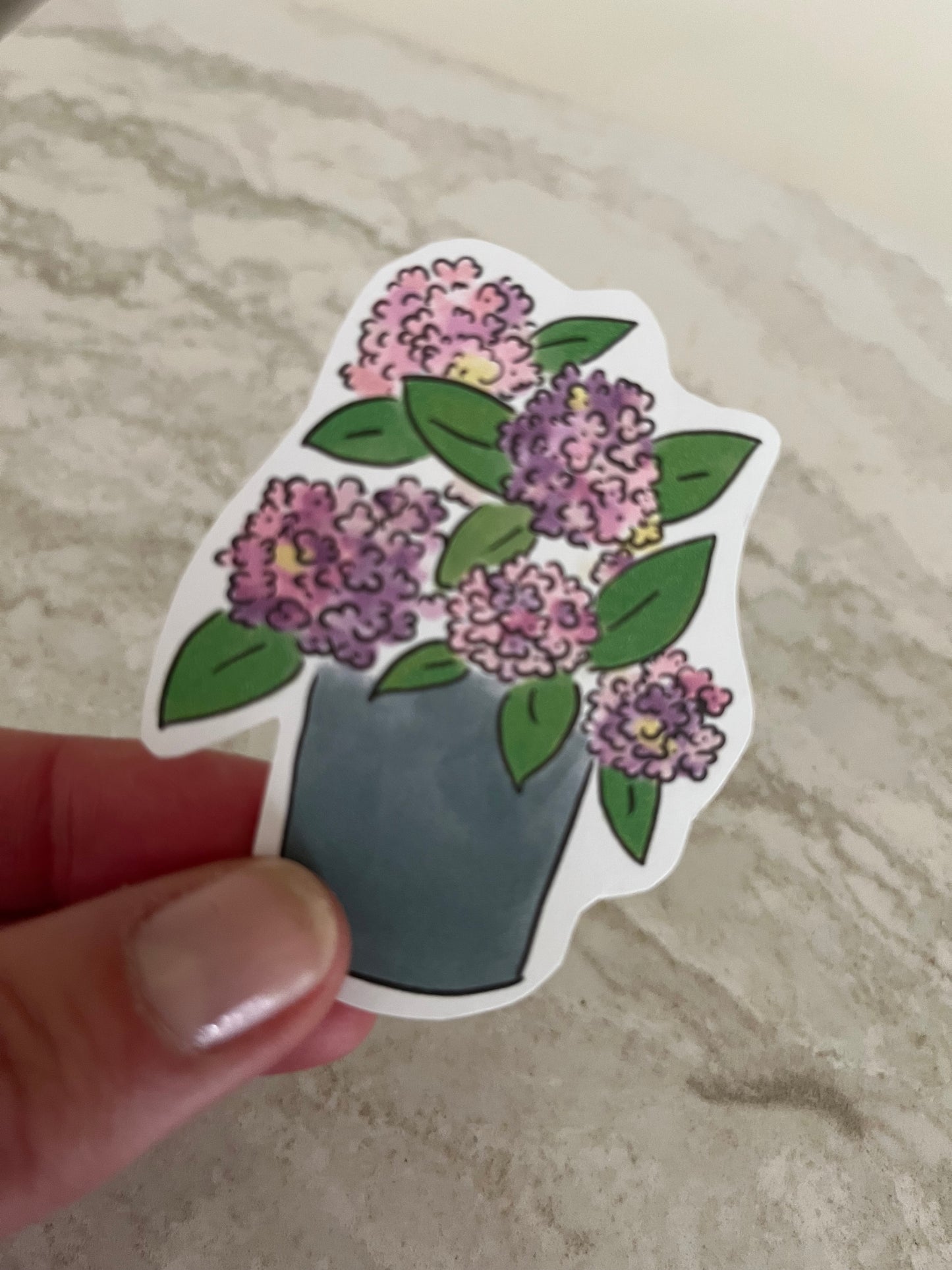 Potted Hydrangea Sticker